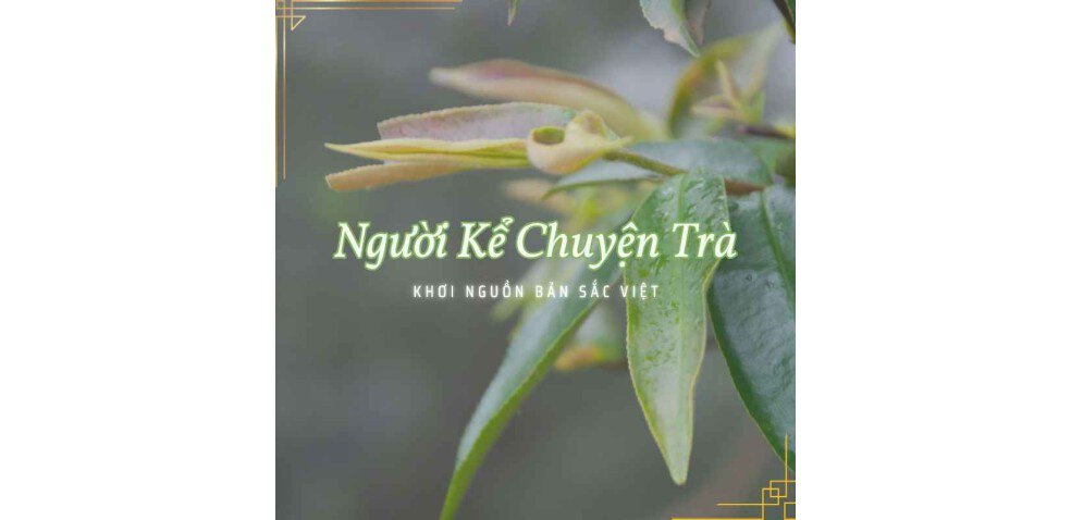 Người Kể Chuyện Trà